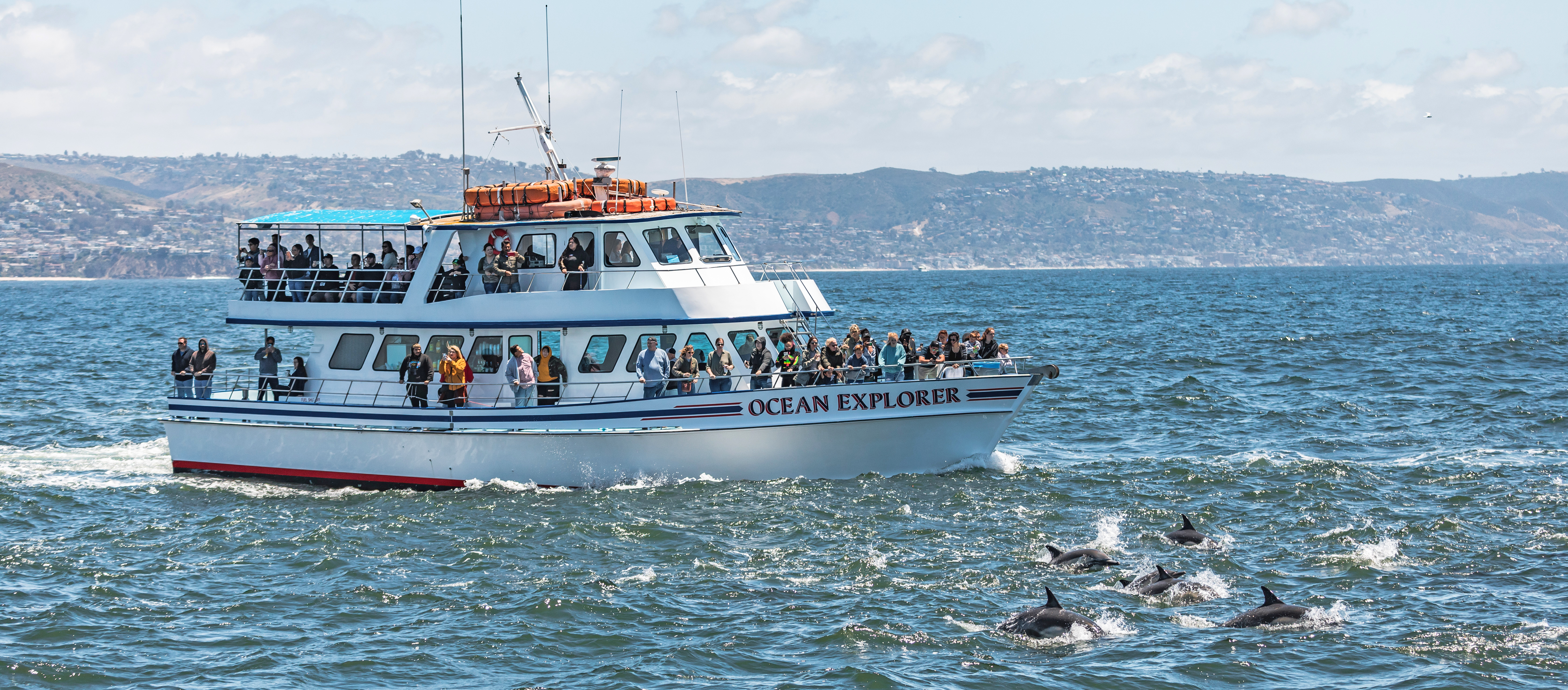 whale-watching-long-beach whale-watching-long-beach-field-trips